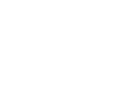 Shiny Wilds casino